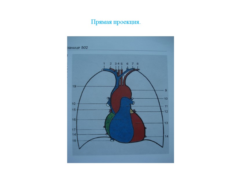 Прямая проекция.